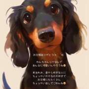 ヒメ日記 2025/12/26 17:59 投稿 れみ FORTE