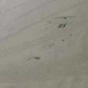 ヒメ日記 2025/12/13 00:16 投稿 小川 雪 ラブ・アンド・ラブ