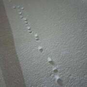 小川 雪 🐾 ラブ・アンド・ラブ