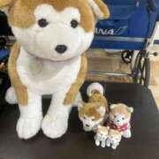 ヒメ日記 2026/02/17 13:36 投稿 小川 雪 ラブ・アンド・ラブ