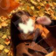 ヒメ日記 2025/12/02 08:01 投稿 しいな 金の玉クラブ池袋～密着睾丸マッサージ～