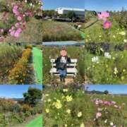 ヒメ日記 2025/10/12 10:25 投稿 めぐみ奥様 人妻倶楽部　日本橋店