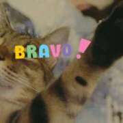 ヒメ日記 2025/10/27 01:36 投稿 めぐみ奥様 人妻倶楽部　日本橋店