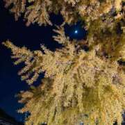 めぐみ奥様 感謝 人妻倶楽部　日本橋店