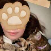 ヒメ日記 2026/02/10 11:06 投稿 めぐみ奥様 人妻倶楽部　日本橋店