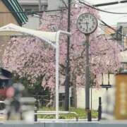 ヒメ日記 2026/03/30 00:16 投稿 めぐみ奥様 人妻倶楽部　日本橋店