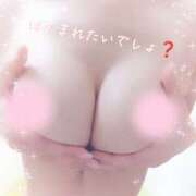 ヒメ日記 2025/12/20 06:00 投稿 しのぶ ビデオdeはんど 町田校