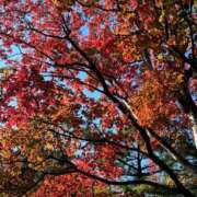 ヒメ日記 2025/10/15 22:13 投稿 竹内ゆかり 五十路マダムセレブリティ横浜店（カサブランカグループ）