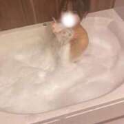 ヒメ日記 2025/10/17 14:03 投稿 ひなこ サティアンまーと