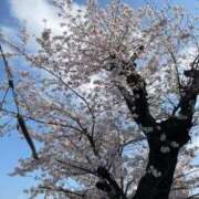 ヒメ日記 2026/03/31 15:32 投稿 あおい AZURE（アジュール）