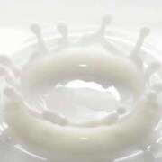 ヒメ日記 2025/11/03 20:52 投稿 ゆりか かりんと大久保・新大久保