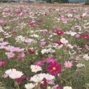 ヒメ日記 2025/10/17 12:03 投稿 ゆき 梅田アバンチュール