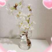 ヒメ日記 2026/02/14 09:41 投稿 ゆき 梅田アバンチュール