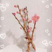 ヒメ日記 2026/03/04 10:02 投稿 ゆき 梅田アバンチュール