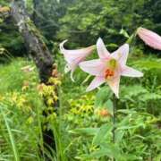 ヒメ日記 2026/06/12 12:23 投稿 ゆき 梅田アバンチュール