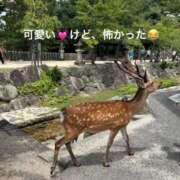 ヒメ日記 2026/07/19 00:12 投稿 ゆき 梅田アバンチュール