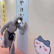 ヒメ日記 2025/10/23 08:47 投稿 ももか ニュー姫