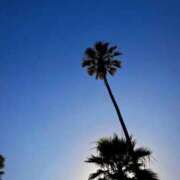 ヒメ日記 2025/11/06 17:45 投稿 天音（あまね） 人妻の蜜