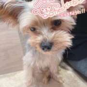 ヒメ日記 2025/10/22 13:13 投稿 にこ 若葉