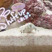 ヒメ日記 2025/11/04 22:15 投稿 にこ 若葉