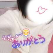 ヒメ日記 2025/11/11 14:57 投稿 にこ 若葉