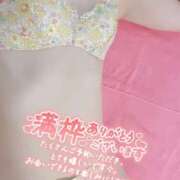 ヒメ日記 2025/11/15 09:35 投稿 にこ 若葉