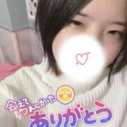 ヒメ日記 2025/11/17 15:05 投稿 にこ 若葉