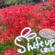 にこ 12月の出勤予定です♡ 若葉