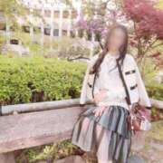 ヒメ日記 2026/02/11 07:01 投稿 すめらぎ しの Club-Embassy