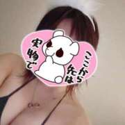 ヒメ日記 2025/10/27 16:08 投稿 しおん パイレーツ