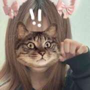 かれん 出勤します！！ 池袋しろパラ