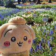 ヒメ日記 2026/03/10 01:39 投稿 もか モアグループ川越人妻花壇