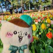 ヒメ日記 2026/03/11 01:37 投稿 もか モアグループ川越人妻花壇