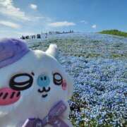 ヒメ日記 2026/04/20 00:04 投稿 もか モアグループ川越人妻花壇