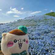 ヒメ日記 2026/04/20 21:55 投稿 もか モアグループ川越人妻花壇