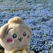 ヒメ日記 2026/04/21 21:41 投稿 もか モアグループ川越人妻花壇