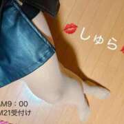 ヒメ日記 2025/10/08 08:04 投稿 しゅら 即アポ奥さん ～津・松阪店～