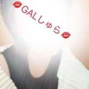 ヒメ日記 2025/11/11 10:24 投稿 しゅら 即アポ奥さん ～津・松阪店～