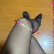 ヒメ日記 2025/11/18 08:34 投稿 しゅら 即アポ奥さん ～津・松阪店～