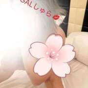 ヒメ日記 2025/11/25 05:44 投稿 しゅら 即アポ奥さん ～津・松阪店～