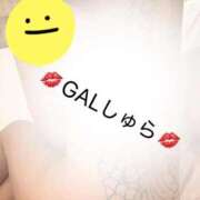 ヒメ日記 2025/11/27 05:44 投稿 しゅら 即アポ奥さん ～津・松阪店～