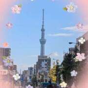 ヒメ日記 2025/11/19 12:36 投稿 真矢 熟らぶ