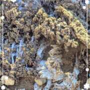 ヒメ日記 2025/12/28 13:09 投稿 真矢 熟らぶ