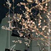 ヒメ日記 2026/02/04 23:00 投稿 真矢 熟らぶ