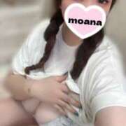 ヒメ日記 2025/11/15 16:09 投稿 もあな ちゃんこ本厚木店