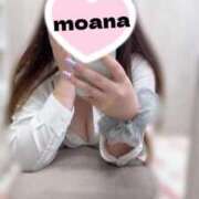 ヒメ日記 2026/03/31 17:37 投稿 もあな ちゃんこ本厚木店