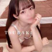 ヒメ日記 2025/11/21 00:03 投稿 ツバキ ピカソ