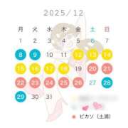 ツバキ ｛🌺｝Xmasはﾄｩﾃｨｩﾗ ピカソ