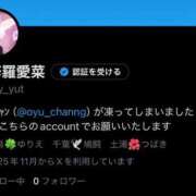 ツバキ ｛🌺｝ｵｰﾝ(ノ_＜) ピカソ