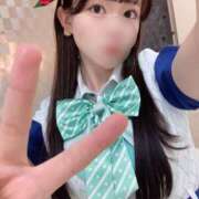 ヒメ日記 2025/12/23 16:53 投稿 ツバキ ピカソ